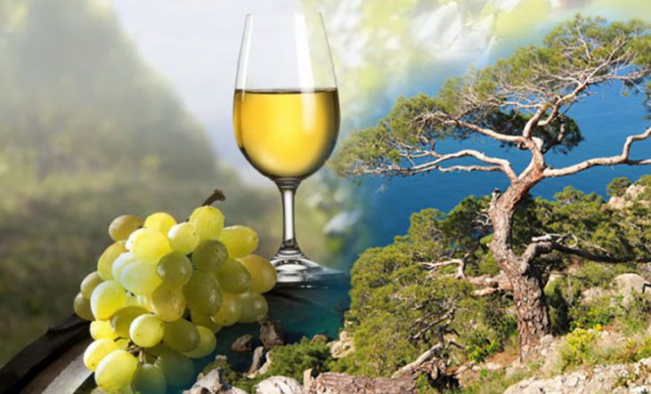 Крым и вино. - Винный тур по  Крыму  «In vino veritas»!  (для групп от 6 чел)