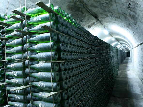 Завод шампанских вин Новый Свет. - Винный тур по  Крыму  «In vino veritas»!  (для групп от 6 чел)