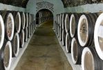 Подвалы Солнечной Долины. Крым. Судак. - Винный тур по  Крыму  «In vino veritas»!  (для групп от 6 чел)